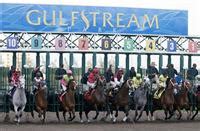 trackinfo resultados|Gulfstream Park Race Results .